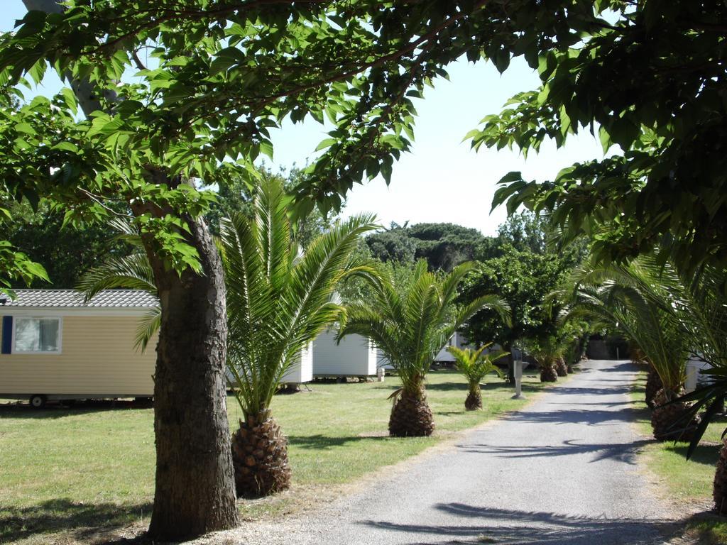 Village Vacances Les Abricotiers Perpiñán Exterior foto